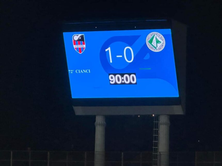 Il Catania Vince e Accende i Sogni dei Tifosi: 1-0 Contro l’Avellino