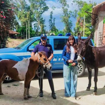 “Pony e asina rubati ritrovati grazie all’intervento della Polizia: lieto fine a Ramacca”