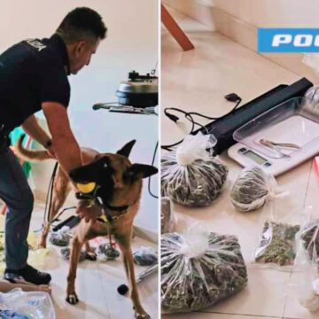 Catania: Arrestata Coppia per Coltivazione e Spaccio di Marijuana, Intervento della Polizia di Stato con Unità Cinofile