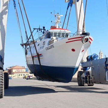 Pesca e Acquacoltura in Sicilia: Tre Bandi per Potenziare Qualità, Sicurezza e Consumo Consapevole